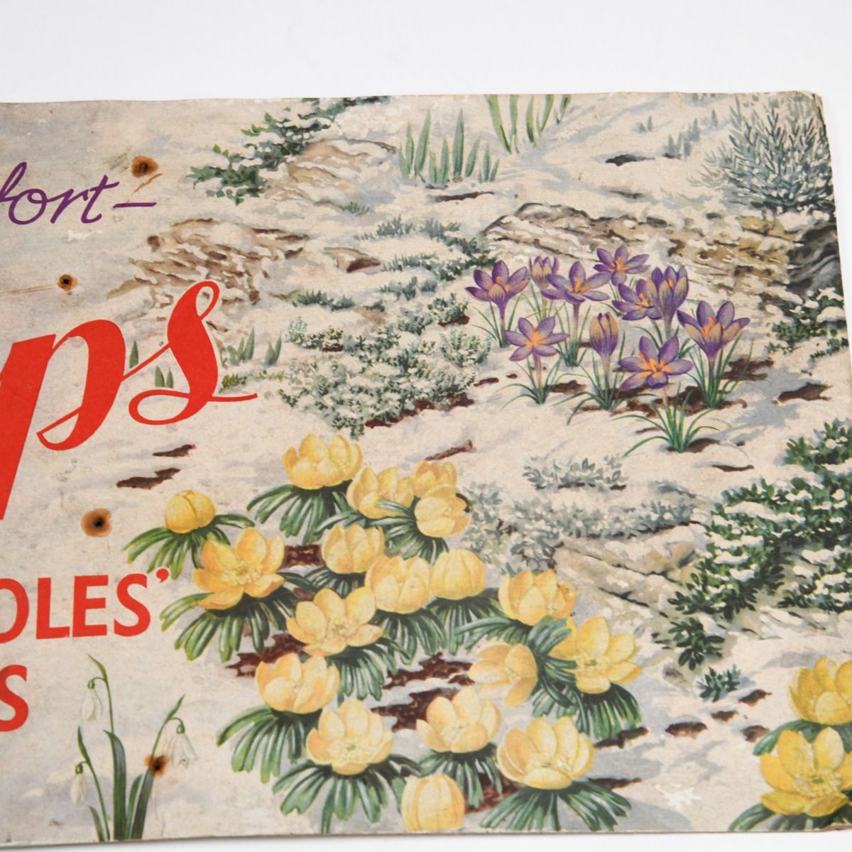 Vintage 1950s Phillips 'Stick A Soles & Heels' Shoe Shop Display Show Card