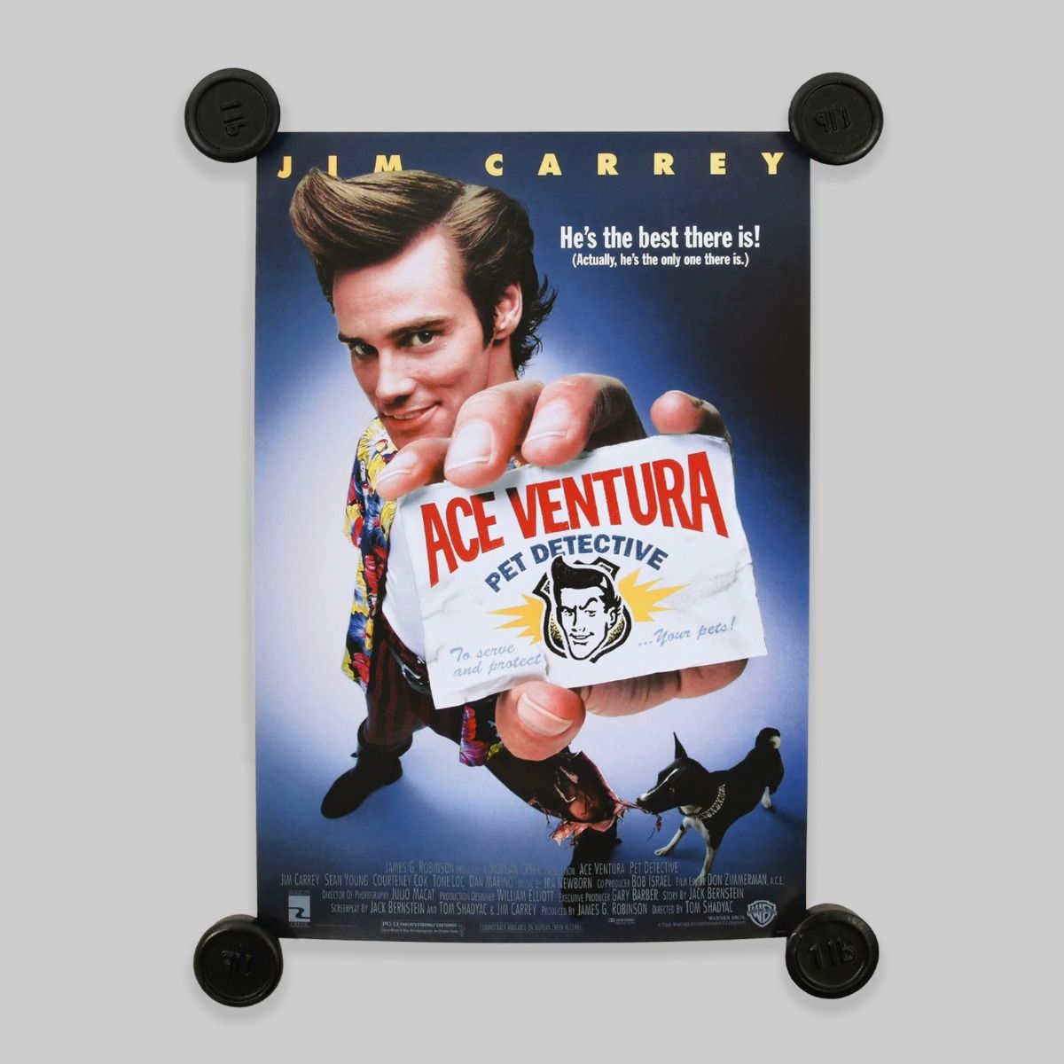Ace Ventura: Pet Detective Poster A2