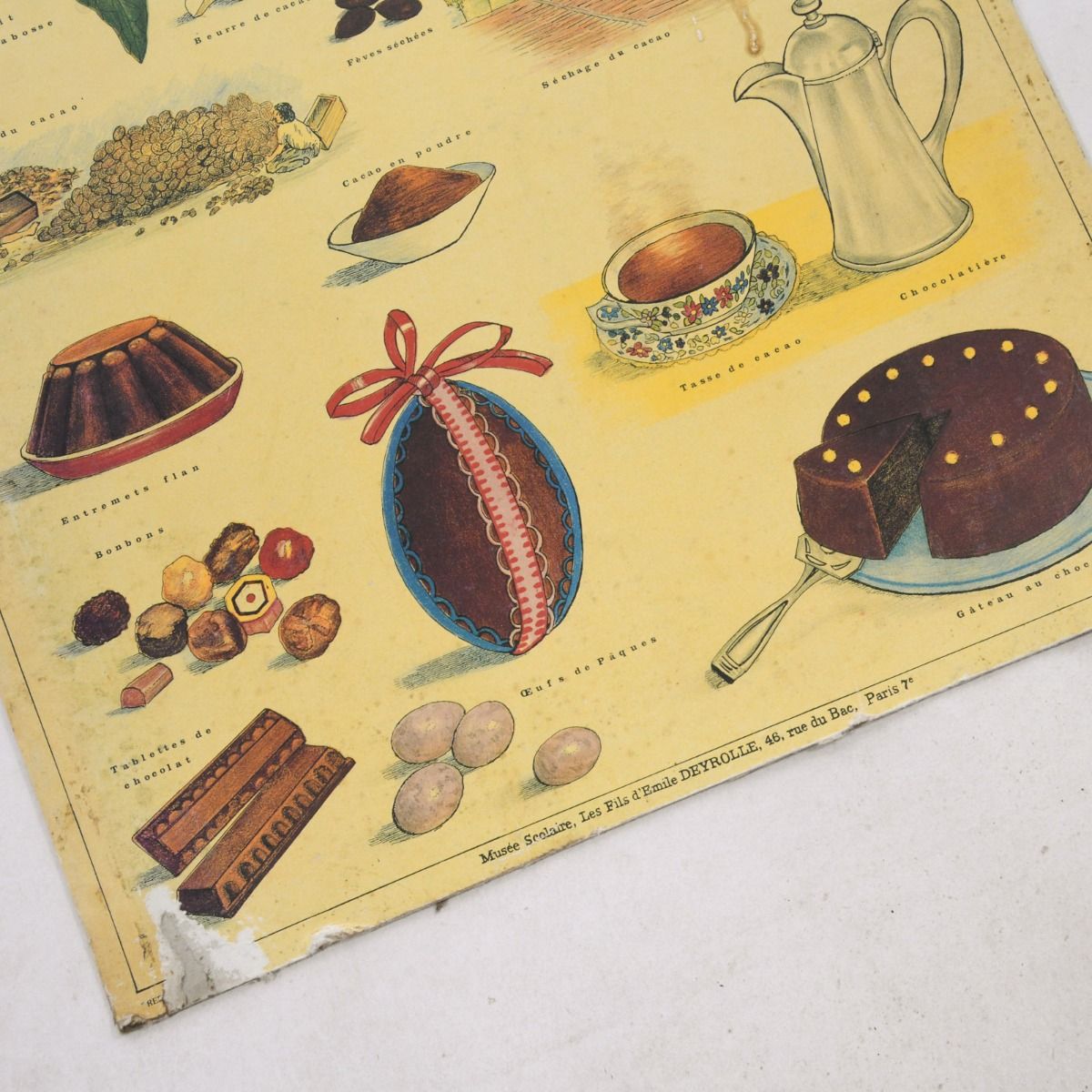 Vintage 1950s French School Poster 'Le Cacao' Musée scolaire