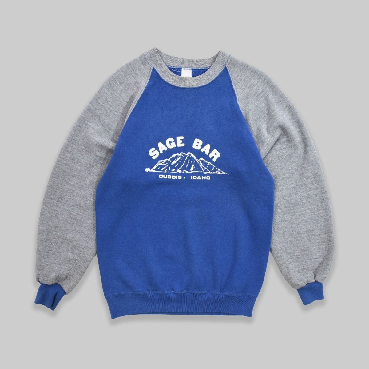 Vintage 1980s Sage Bar Sweatshirt