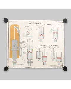 Vintage 1950s Double Sided French School Poster (Tableaux De sciences Rossignol)