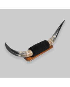 Vintage Mounted Cattle Bull Horns