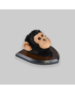 Mounted Plush Monkey Head